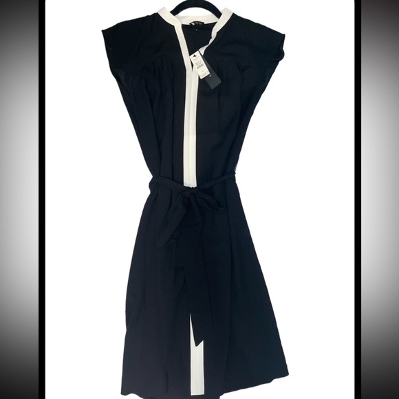 NWT Talbots petites sleeveless Vneck dress sz 2p - Picture 1 of 16